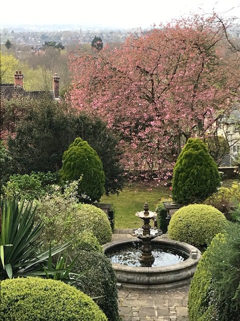A stone fountain in an Open Garden, with a cherry tree in blossom beyond
