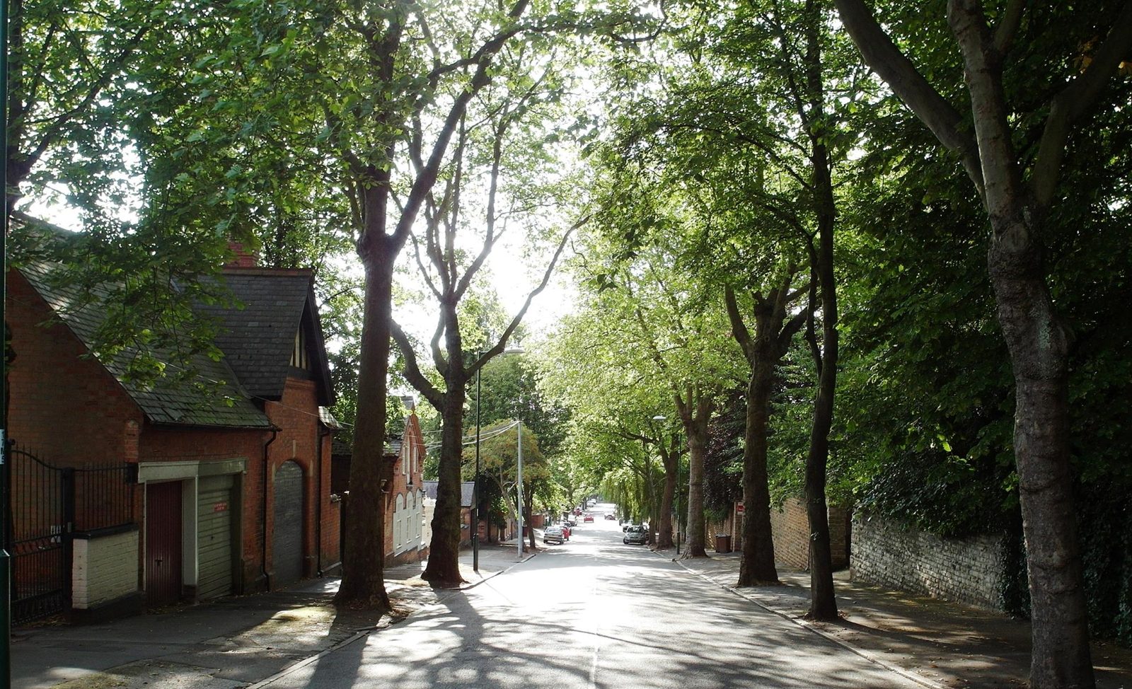 A tree-lined Mapperley Park street in summer sunshine
